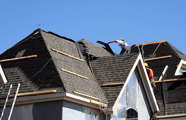 Best Roof Repair Services  in Colon, MI