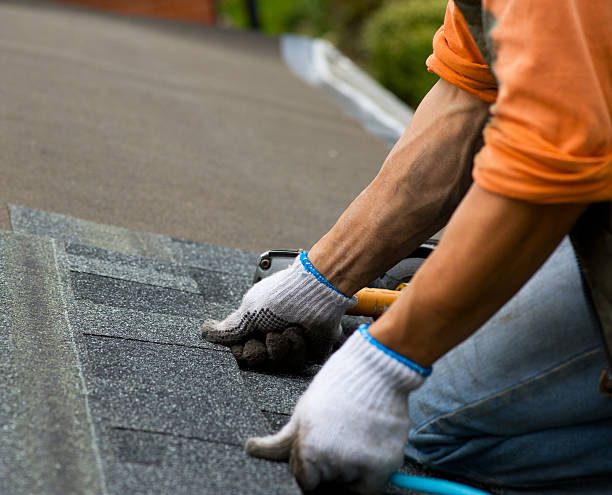 Best Metal Roofing Contractor  in Colon, MI