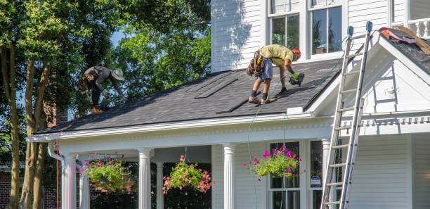 Best Flat Roof Repair Services  in Colon, MI